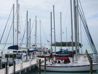 Marine Surveys by Douglass Marine LLC, Keith L. Douglass, SAMS® AMS®, Islamorada, Florida, USA